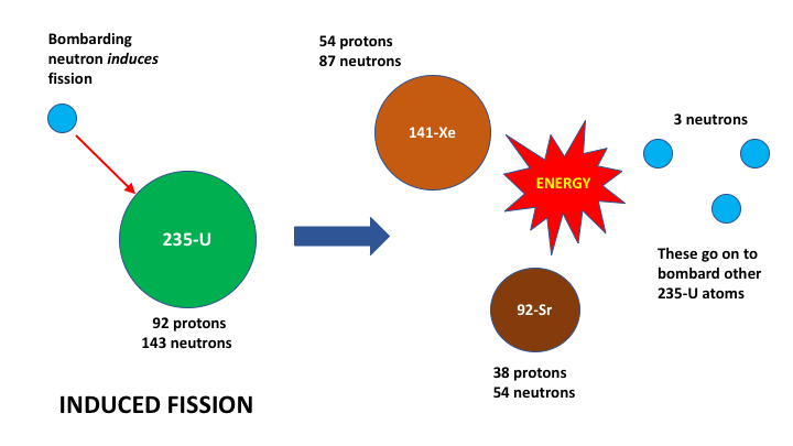 Induced Fission.png